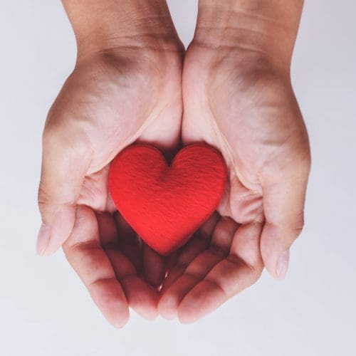 heart on hand for philanthropy concept / woman holding red heart in hands for valentines day or donate help give love warmth take care