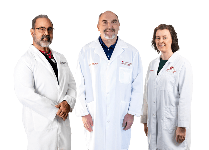 Virginia Gay Providers